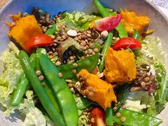 -Wagas沃歌斯(大学路店)