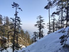 -瓦屋山景区
