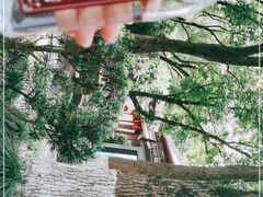 -宁波市保国寺古建筑博物馆