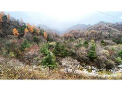 -秦岭风景区