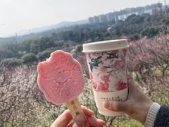 -无锡梅园公园