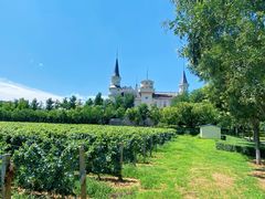 -北京张裕爱斐堡酒庄