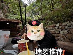 -大鄣山卧龙谷景区