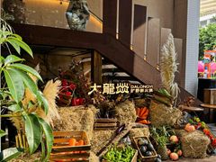 -大龙燚·旷野鲜火锅(广州首店)