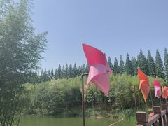 -黄海国家森林公园