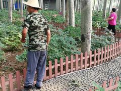 -仁和公园(顺义区)