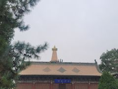 -张掖大佛寺景区