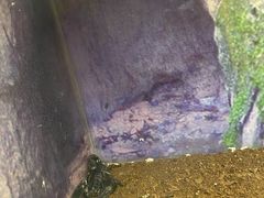 -上海大自然野生昆虫馆(东方明珠·爬宠昆虫探索中心)