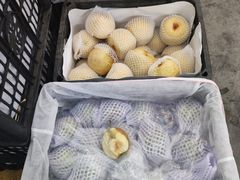 -西郊国际农产品交易中心