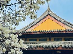 -龙华寺