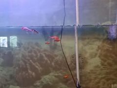 -德全心悦酒店(北京金台路地铁站店)