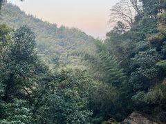 -莫干山风景区