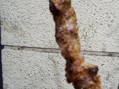 -新疆喀什烤肉饭店(红松路店)