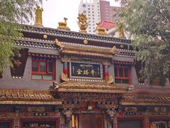-金塔寺