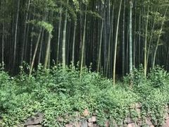 -苏州环秀晓筑养生度假村