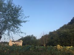 -上甘棠村