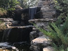 -武清南湖绿博园