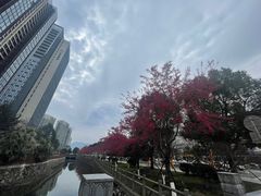 -PANYA(东湖店)