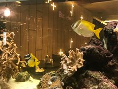 -无招牌海鲜餐厅(怡丰城店)