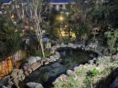 -天芳悦潭度假村温泉