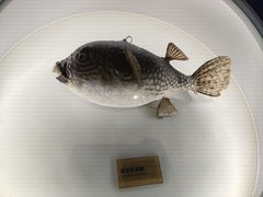 -陕西自然博物馆