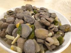 -东吴霸王兔(松青路店)