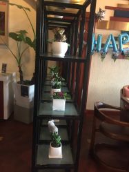 -派对猴生日派对策划(浦东店)