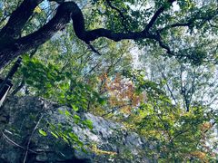 -宝岩生态观光园