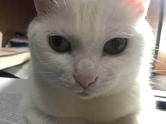 -南京圣和府邸豪华精选酒店