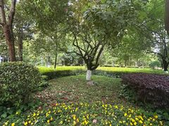 -洛龙公园