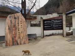 -王顺山国家森林公园