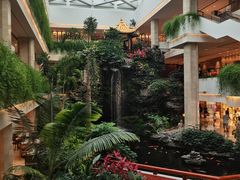 -广州白天鹅宾馆