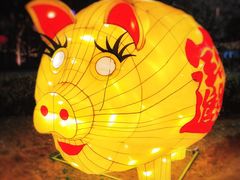 -锦江乐园舞狸花花游园会(夜场专享)
