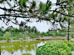 -通辽森林公园
