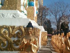 -护国法轮寺