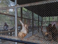 -长白岛森林公园