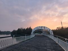 -同里国家湿地公园