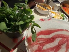 -小龙坎火锅(全球旗舰店)