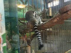 -西安秦岭野生动物园