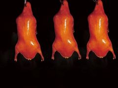 -民族饭荘(新华大街店)