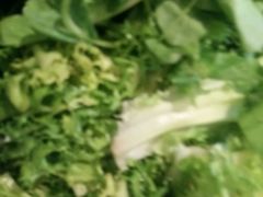 -黔蘑菇四季餐厅(观山湖店)