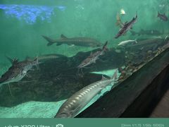 -太平洋海底世界