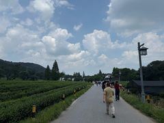 -灵顺寺