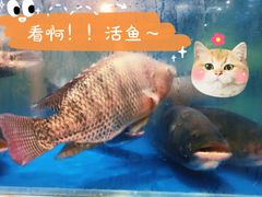 -精致顺德菜(琶洲店)