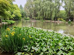 -洛阳市隋唐城遗址植物园