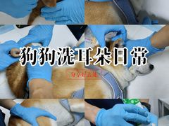 -科道动物医院·急重症中心(万达院)