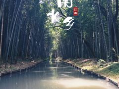 -同里国家湿地公园