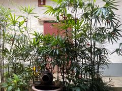 -董府·古宅餐厅