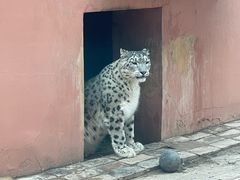 -青藏高原野生动物园