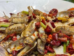 炒蛏子-温岭人家(红花北路店)